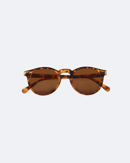 Niccolo Sunglasses